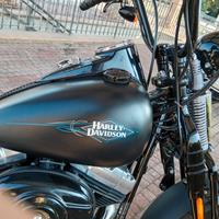 Harley Cross Bones
