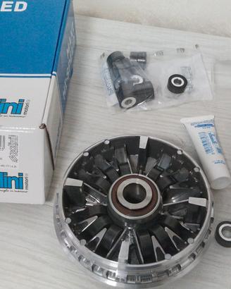 Variatore Zontes 350e  - POLINI