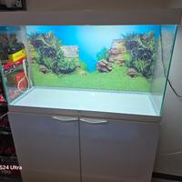 Aquario 240 l