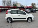 fiat-panda-900-cc-anno-2018-benzina-metano-unica
