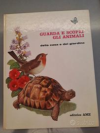 guarda e scopri gli animali della casa e del giard