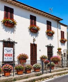 Terratetto angolare con esterno