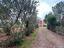 Immagine 24