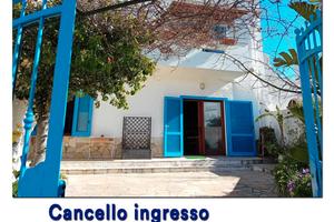 Due appartamenti indipendenti