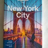 guida New York City 