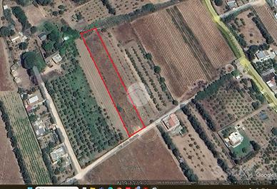 TER. AGRICOLO A QUARTU SANT'ELENA