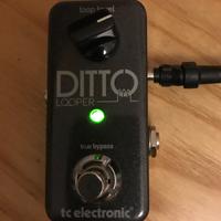 Tc Electronic Ditto Looper
