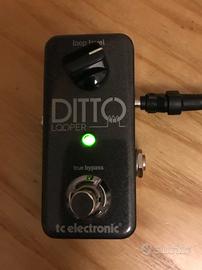 Tc Electronic Ditto Looper