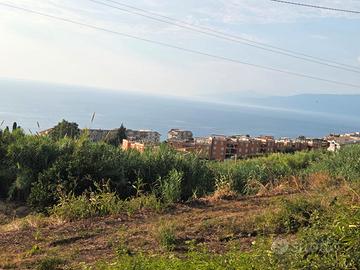 Terreno agricolo 42.000 mq vista mare+rudere-Pizzo