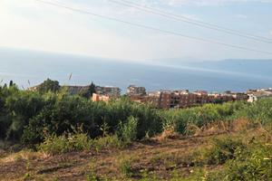 Terreno agricolo 42.000 mq vista mare+rudere-Pizzo