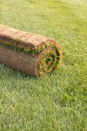 Prato a rotoli |Naturale |Foggia - Bari - Brindisi