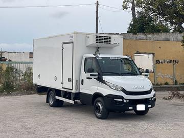 Daily 60c15 cella frigo 4.20 atp 2028