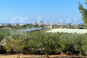 Villa o villino Trani [Cod. rif 3246288VRG]