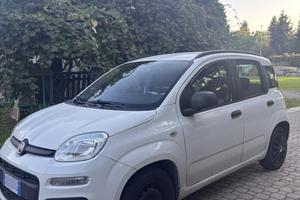 Fiat Panda 1.3 multijet (per neopatentati)