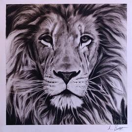 Disegno a carboncino e grafite: Leone