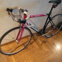 Bicicletta giant t mobile