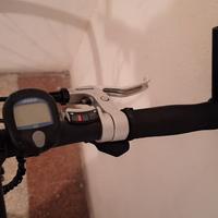 wilier escape competition 