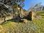 Immagine 21