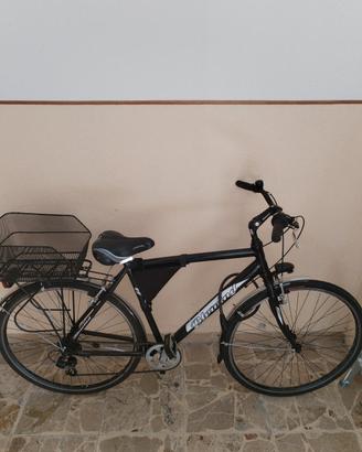 Bici  adulto
