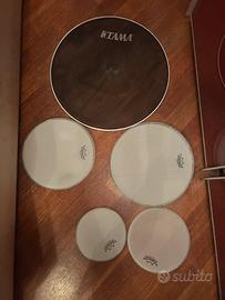 Set pelli Remo Silent Stroke