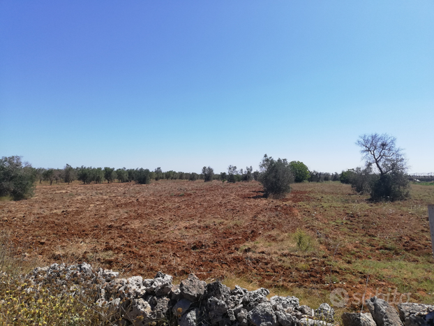 Terreno Agricolo