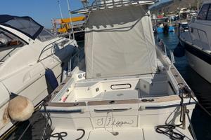 Triakis 29