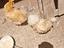 Immagine 5