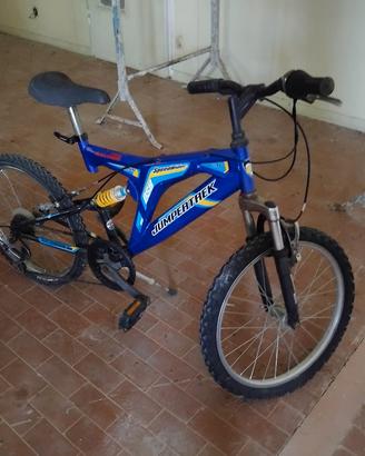bicicletta vintage