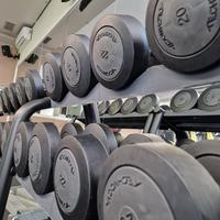 Manubri Technogym serie completa con rastrelliere