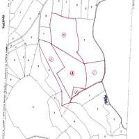 Terreno agricolo