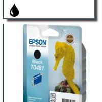 2 cartuccia epson black t0481