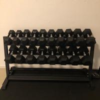 Coppia manubri 17,5 kg Lacertosus Training