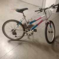 bicicletta Mountain bike