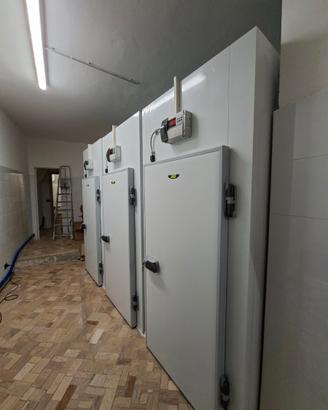 Celle frigo positive e negative
