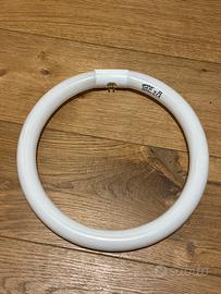 Circolina neon 32w