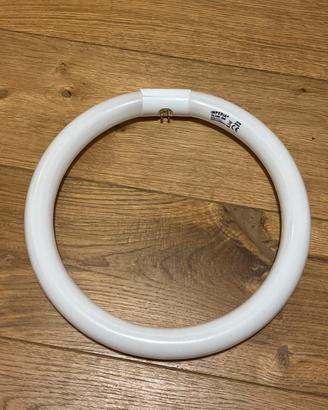 Circolina neon 32w