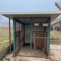 Gabbia per cani