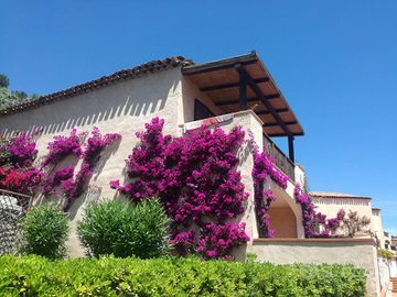 Multiproprietà Piccolo Pevero