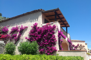 Multiproprietà Piccolo Pevero