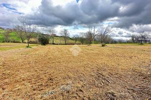 TER. AGRICOLO A NARNI