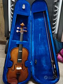 violino 