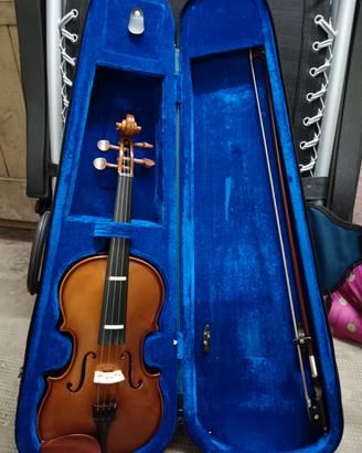 violino 