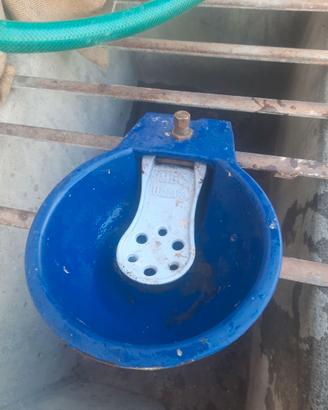 Abbeveratoio per bovini mec luzzara