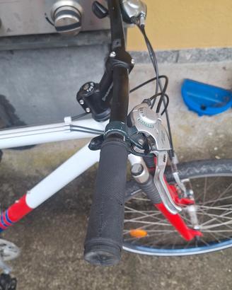 mountain bike vintage