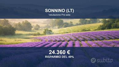 Immobile in asta di 116260 m² a Sonnino