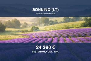 Immobile in asta di 116260 m² a Sonnino