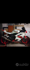 Yamaha R6 rr pronto pista