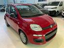 fiat-panda-1-0-firefly-s-s-hybrid-pronta-consegna