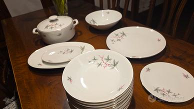 set  41 piatti porcellana Bavaria 