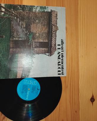 vinile